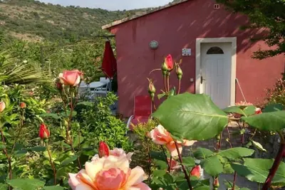 Image de Maisonnette à deux pas de Biot dans un écrin de verdure.
