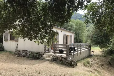 Image de Maison sur terrain arboré formé de 3 grandes restanques bordées d'arbres calme.