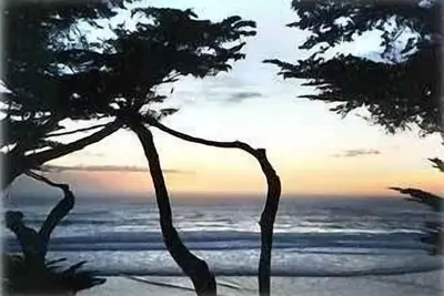 Image de Oceanfront Beach House, juste en bas de la plage de Pebble Beach