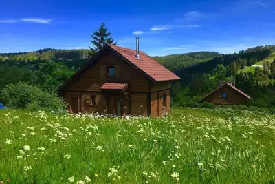 Image de Exceptionnel, superbe chalet 4 pers. aux pistes de ski la mauselaine à Gérardmer