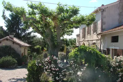 Image de Gîte en Provence attenant à un Mas du 19ième à Tarascon