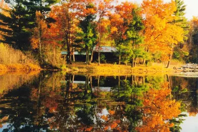 Image de Cabine privée sur la baie calme du lac Round
