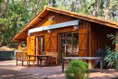 Image de Belle Villa 19 couchages presqu’île du Cap Ferret sur terrain arboré et calme