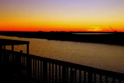 Image de Paradis sur le Bayou!