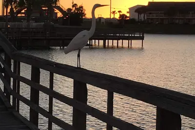 Image de Bienvenue au Breakwater Bungalow