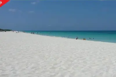 Image de Aruba # 1 Beach: Condo de luxe avec plus de 1 lit, 4 couchages, tout équipé, superbe complexe hôtelier