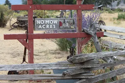 Image de No Mow Acres / Situé dans le haut désert de l'Oregon