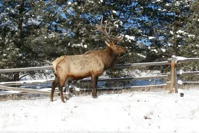 Image de Distance de marche de Rocky Mountain Nat. Park