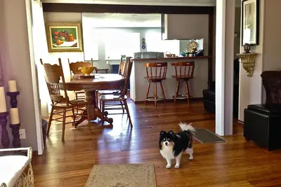 Image de Vues sur la rivière! 6 couchages, marchez jusqu'à Wine, Hiking and Sandbar - Dogs Welcome!