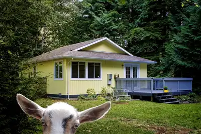 Image de Diamond Cottage, près de Sooke, Shirley et Port Renfrew. 40 minutes de Victoria