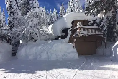 Image de Famliy Fun Cabin près de domaine skiable. Chien et chien amical