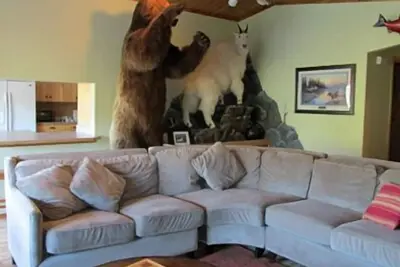 Image de Vue sur le lac avec une véritable Rugged Alaska Ambiance!