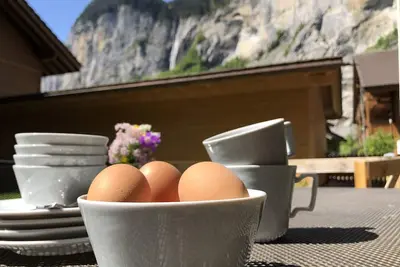 Belle à Lauterbrunnen
