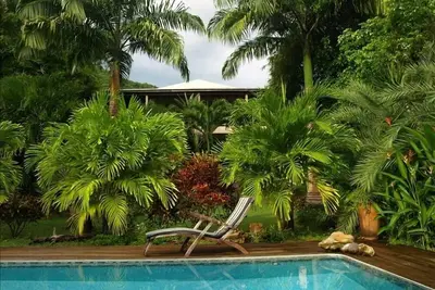 Image de Jardin de bambou - Port de Falmouth