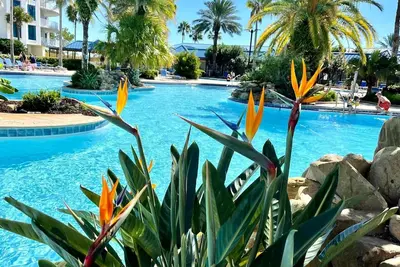 Image de Escapade de vacances ultime! 9e étage, vue sur l'océan, 2 King Br / 2 Bath.