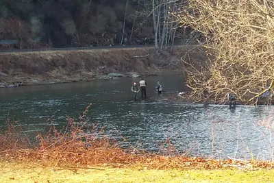 Image de Une belle cabine sur Pine Creek. Randonnée, vélo, Ride, le flotteur droit de la cabine.