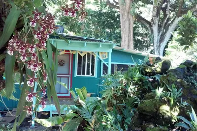 Image de Une Maison Grotto ENCHANTÉE Sous Des Arbres De Taille Jurassique Est Une Voie Romantique