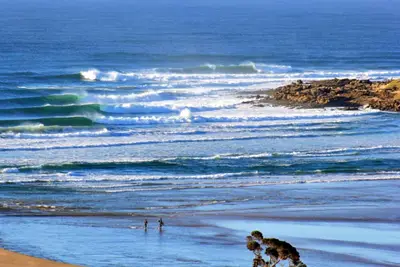 Image de Découvrez la côte sauvage authentique!