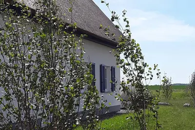 Image de La Villa Bleue sur Rügen, au milieu de la nature et sur la baie