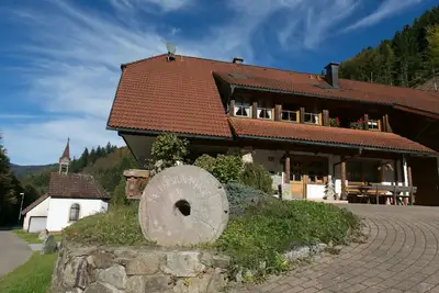 Image de Nos forêts adjacentes sont un paradis pour les amoureux de la nature et les randonneurs.