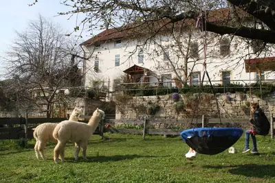 Image de Vacances à la ferme avec vue sur le château dans un appartement individuel