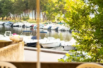 Image de Appartement Chemin de l'Aliso - Centre ville