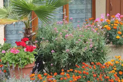 Image de Les Gîtes fleuris du \"Pinte\"  Goutz en Lomagne gersoise