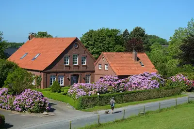 Image de Bel appartement 1 pièce avec terrasse et jardin boisé au bord de la Mer du Nord