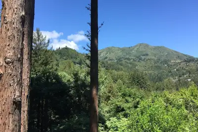 Image de Solde d'été! Beautiful Private Mill Valley Home avec une vue magnifique et une pièce pour 10