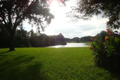 Image de Wow - comme séjourner dans un parc: magnifique au bord du lac, piscine privée chauffée à Tampa!
