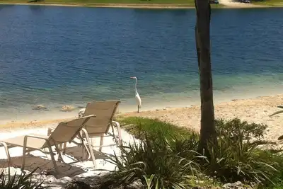 Image de Conçu pour le confort 3/2 Lakeside, près de tout East Kendall Miami