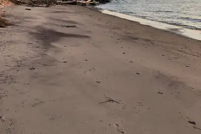 Image de Amoureux du lac!