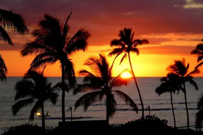 Image de Superbe condo avec 2 chambres et vue sur la mer Island Surf 501