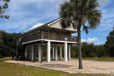 Image de Tortue de mer Steinhatchee