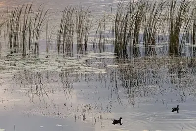 Image de Maison de ville impressionnante, belle vue sur le lac. Soyez dans n'importe quel parc en 10 minutes!