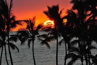 Image de Wailea Dream location, mise à jour, climatisation, barbecue Weber, piscine Salt H2o, etc.