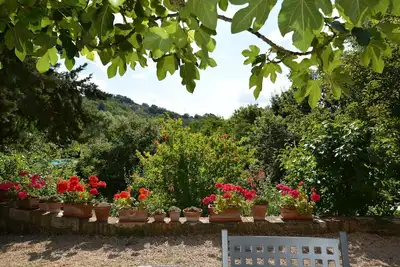 Image de Appartement La Maison Neuve - en Villa dans la Campagne Toscane Avec Piscine
