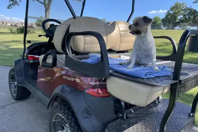 Image de Accueil au bord de l'eau de Monkey Island