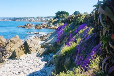 Image de Vue sur l'océan chez Lovers Point Mermaid Cottage
