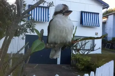 Image de Finlandais maison de plage Wooli