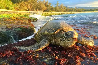 Image de World Class Views & Excellentes critiques!