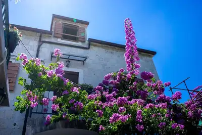 Image de Raffiné par la nature, Villa Marino Trogir