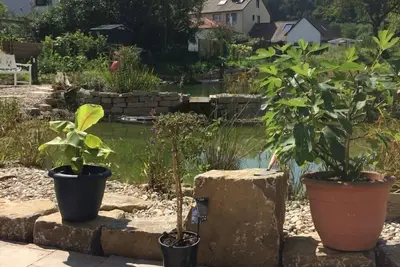 Image de Appartement confortablement aménagé dans un endroit calme et rural à Lenglern avec
