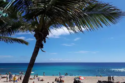 Image de vacances tropicales dans T1bis de plain pied, 2 étoiles, bord de plage à Boucan