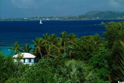 Image de Bougainvillea / Palm Terrace - Aucun Dommage D'Ouragan Condo de luxe à pied de la ville