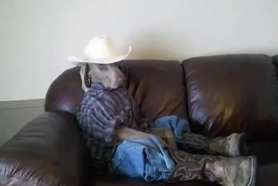 Image de Grand Endroit: Toute Nouvelle Location