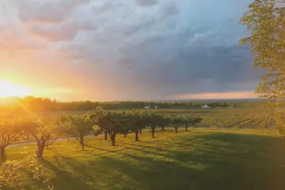 Image de Vineyard Estate House à Niagara