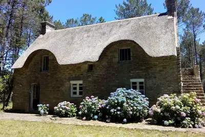 Image de Location saisonnière d'une chaumière bretonne en plein coeur de la forêt