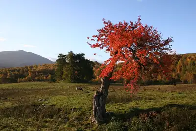 Image de Magnifiquement rénové Cottage en pierre isolé dans une vallée avec une vue imprenable