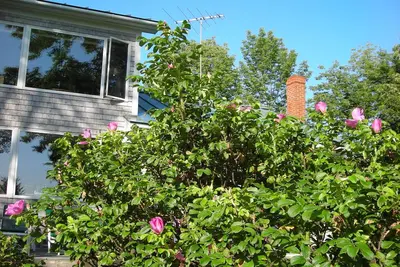 Image de Cottage à Six sur les eaux de Eggemoggin portée